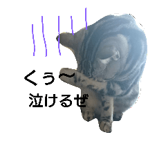 [LINEスタンプ] ねこた家