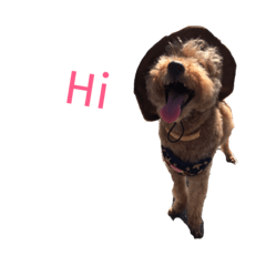 [LINEスタンプ] coffins dog