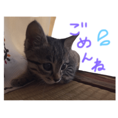 [LINEスタンプ] 心愛さんとお姫