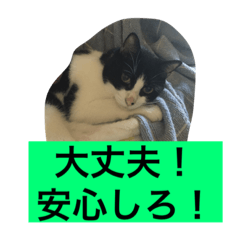 [LINEスタンプ] レイニィ スタンプさっ！