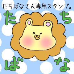 [LINEスタンプ] たちばなさん専用スタンプ