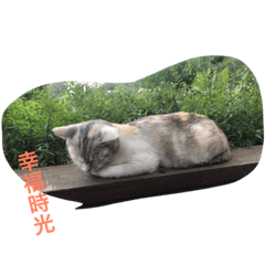 [LINEスタンプ] soy milk＆mibo