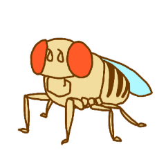 [LINEスタンプ] キイロショウジョウバエ fetchpriority=high
