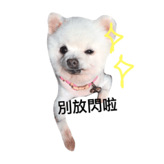 [LINEスタンプ] Niu's life fetchpriority=high