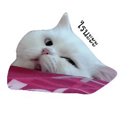 [LINEスタンプ] Diamond's life