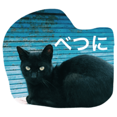 [LINEスタンプ] 猫気分