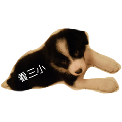 [LINEスタンプ] Dog happy day