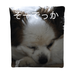 [LINEスタンプ] ななこのきもち