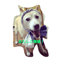 [LINEスタンプ] えれなちゃん