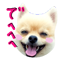 [LINEスタンプ] ぶちゃかわタロウさん2