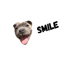 [LINEスタンプ] i'm my dog