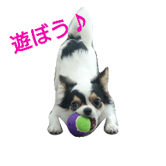 [LINEスタンプ] チョ