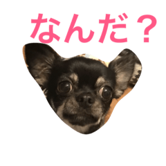 [LINEスタンプ] tenchan stamp