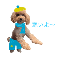 [LINEスタンプ] ハッピー シフォンくん