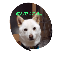 [LINEスタンプ] 小太郎と遊ぼう
