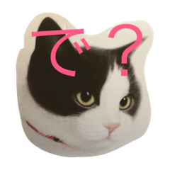 [LINEスタンプ] ニャーこのつぶやき