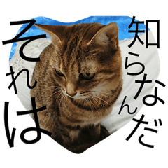 [LINEスタンプ] 愛すべき家族達2
