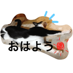[LINEスタンプ] まきだりんたろう