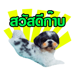 [LINEスタンプ] sobajang