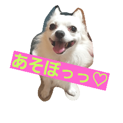 [LINEスタンプ] プリン君のしあわせスタンプ②