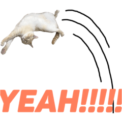 [LINEスタンプ] チワワとニャンズ
