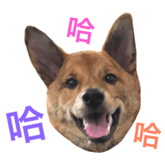 [LINEスタンプ] Cute 1027