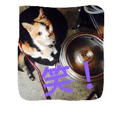 [LINEスタンプ] nyaのstamp2