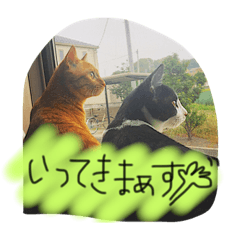 [LINEスタンプ] のびーむ