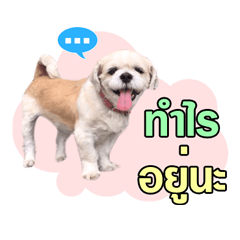 [LINEスタンプ] gangster doggy