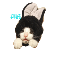 [LINEスタンプ] oh hi yo Maru