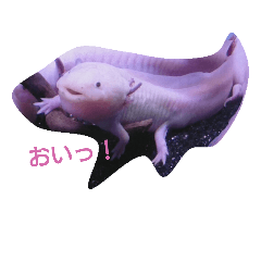 [LINEスタンプ] realer