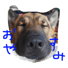 [LINEスタンプ] 雑種犬半兵衛