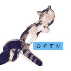 [LINEスタンプ] LEON And anko