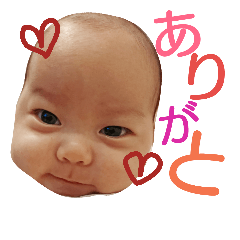[LINEスタンプ] セイゴ ～日常会話編～