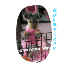 [LINEスタンプ] nana-chan.(2)