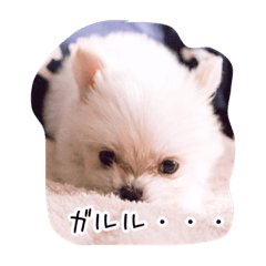 [LINEスタンプ] コッパーすたんぷ 4