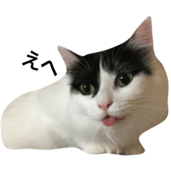 [LINEスタンプ] サンぺろ