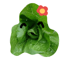 [LINEスタンプ] フルーツやさい写真スタンプ