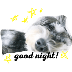 [LINEスタンプ] さくらスタンプ2