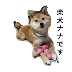 [LINEスタンプ] 柴犬ナナの日常です！