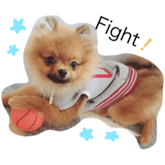 [LINEスタンプ] むぎのスタンプだわん