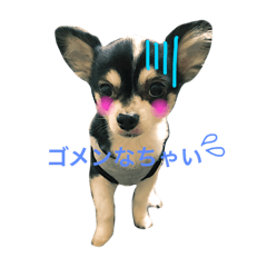 [LINEスタンプ] viviの日常