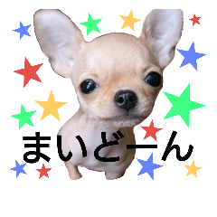 [LINEスタンプ] まくろ