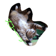 [LINEスタンプ] 毎日色んな顔を見せてくれるめいです。