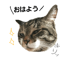 [LINEスタンプ] ハッピーセット