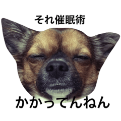 [LINEスタンプ] ウルスタ①