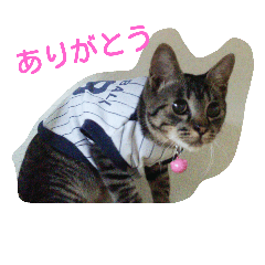[LINEスタンプ] アルくん1