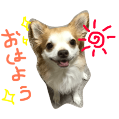 [LINEスタンプ] 大吉プロのスタンプ