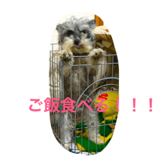 [LINEスタンプ] ロン♡モモ