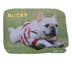 [LINEスタンプ] nanahachi3